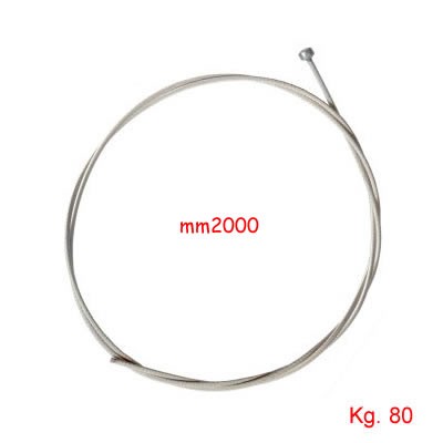 CAVO INOX TESEO mm2x2000