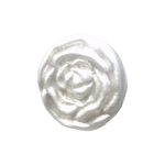 POMOLO FIORE/G ARGENTO