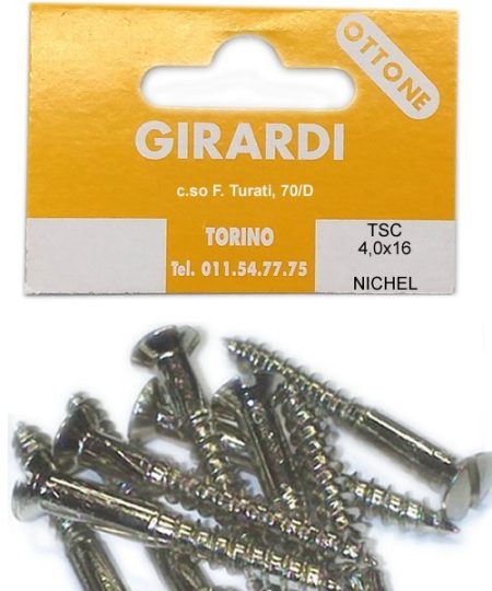VITE TGS 4,0x16 NICHEL