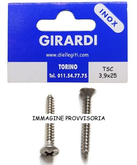 VITE AUTOFILETTANTE TSC 3,9x25 T.CROCE
