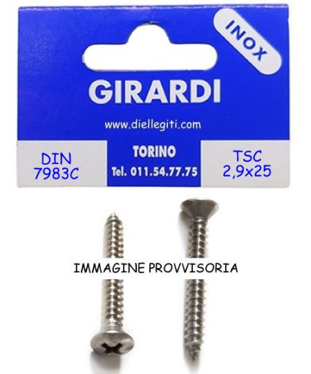 VITE AUTOFILETTANTE TSC 2,9x25 CROCE DIN 7983/C